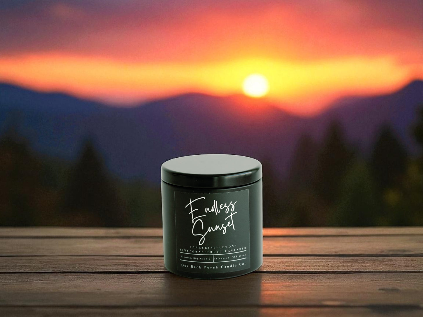 Endless Sunset Modern Home Wholesale