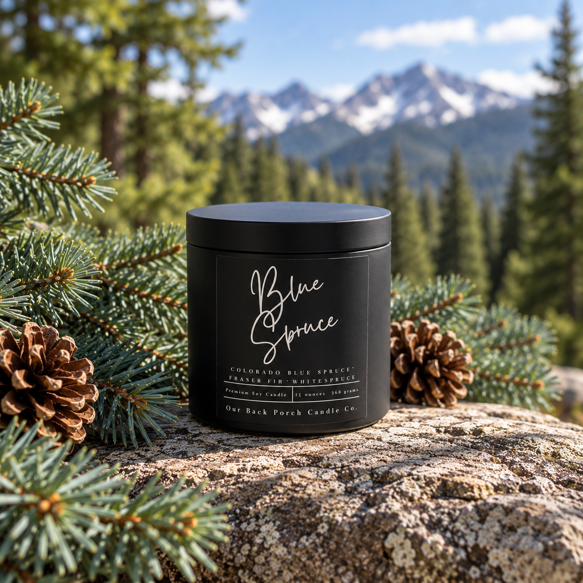 Blue Spruce matte black 16oz soy candle by Back Porch Candle Co., the Black Tin option for Colorado Blue Spruce, among spruce branches and pinecones with the Rocky Mountains in the background.