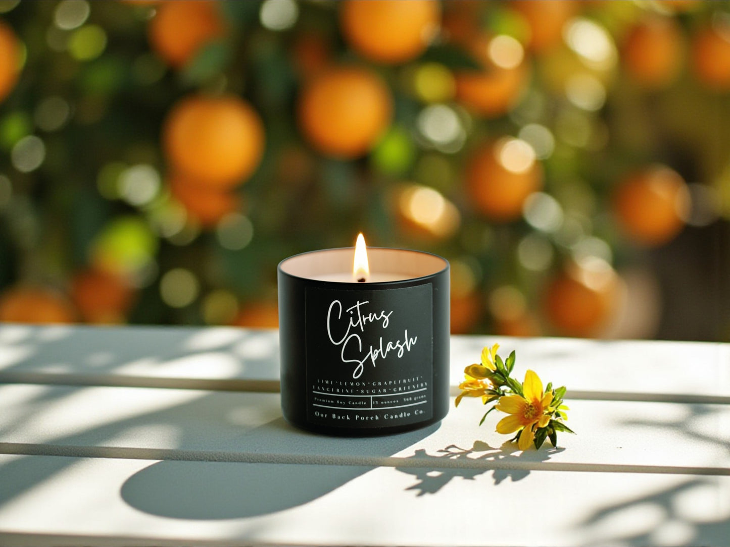 Citrus Splash Modern Home Wholesale