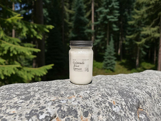 Colorado Blue Spruce