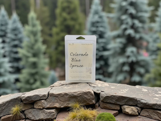 Colorado Blue Spruce Flameless