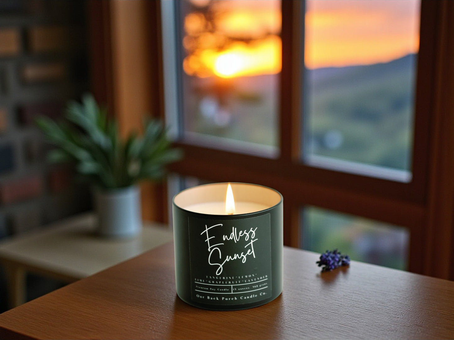 Endless Sunset Modern Home Wholesale