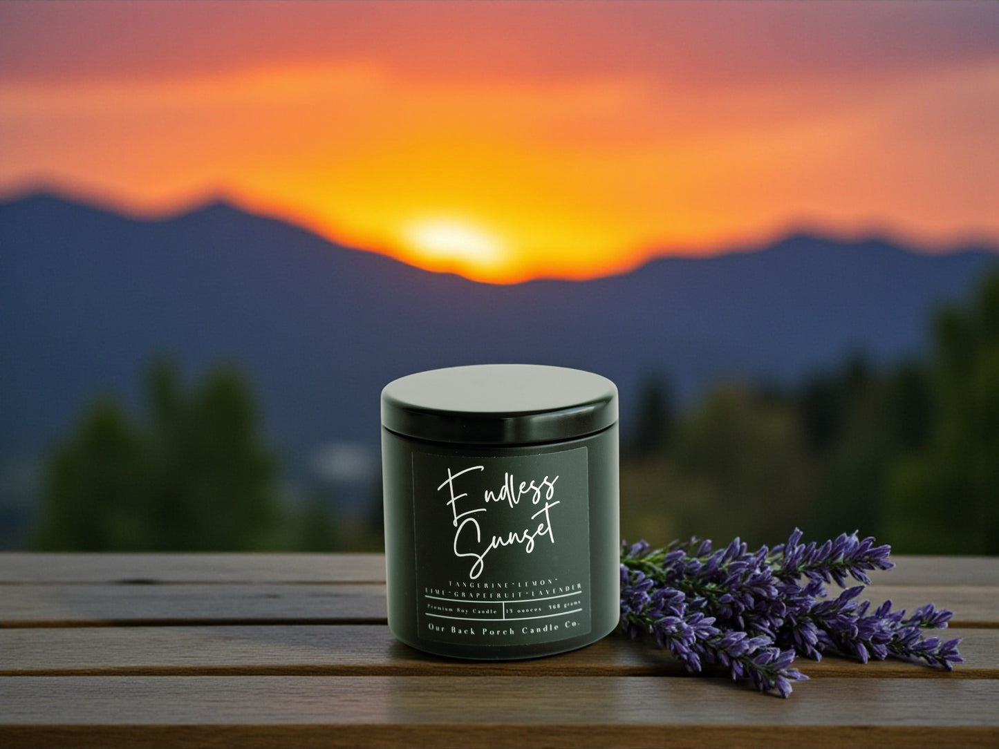 Endless Sunset Modern Home Wholesale