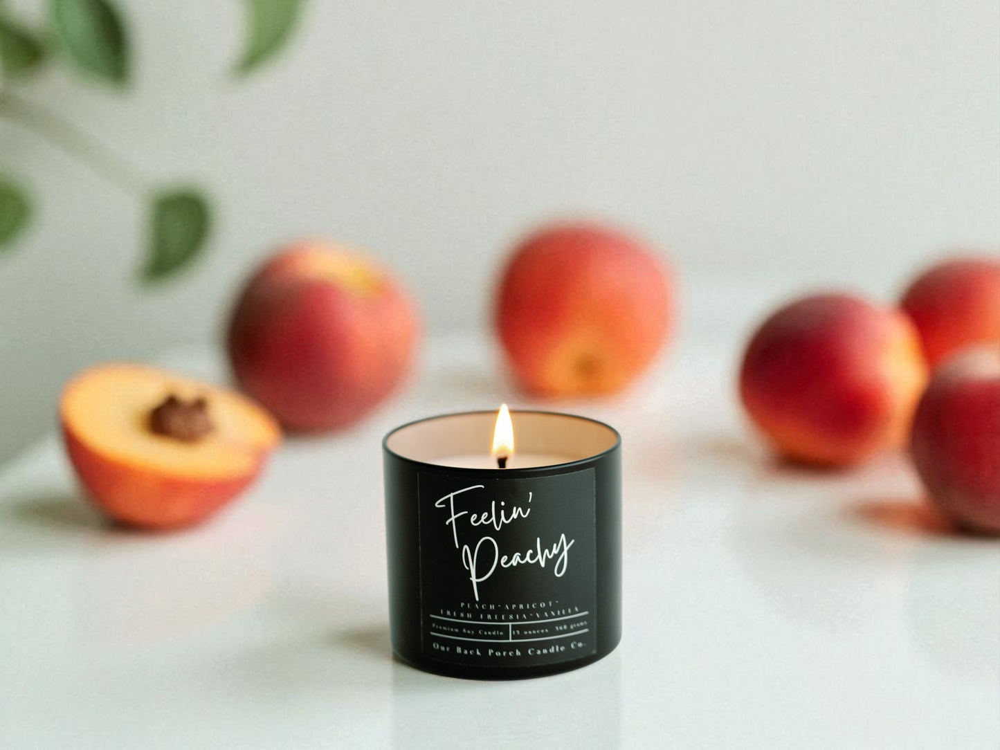 Feelin' Peachy Modern Home Wholesale