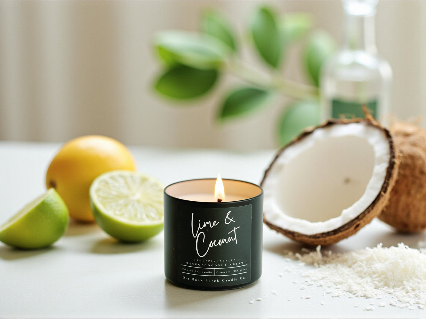 Lime & Coconut Modern Home Wholesale